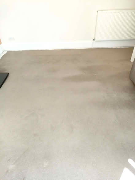 Photo of free Carpet & underlay- 4.6 x 3.3m (Shedden G76) #4