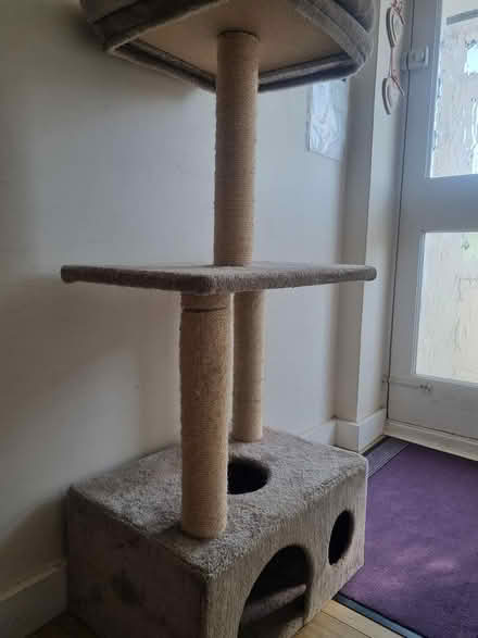 Photo of free Cat tree (Woodingdean BN2) #2