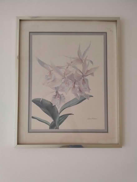 Photo of free Paintings (Penrith CA11) #3