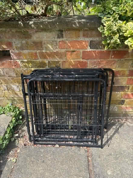 Photo of free Puppy small dog pen (Great Missenden HP16) #1