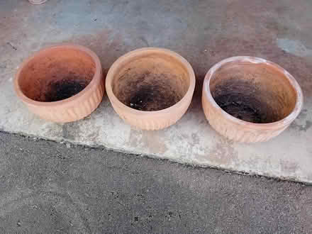 Photo of free Terracotta plant pots (Callow Hereford HR2) #4