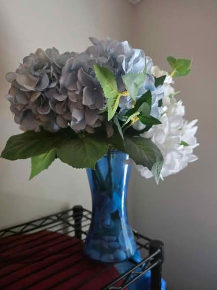 Photo of free Fake hydrangea in vase (West Concord MA) #1