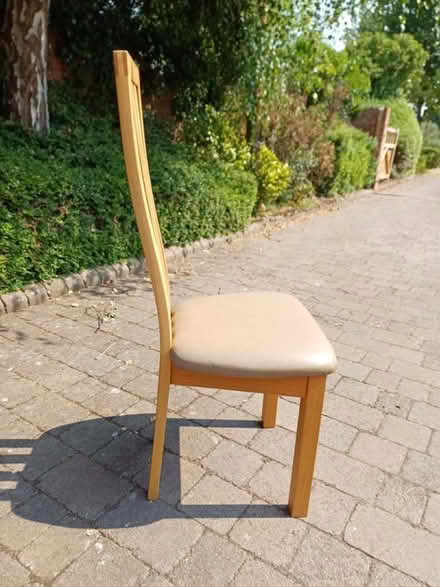 Photo of free Dining chairs x 7 (Ombersley, Worcestershire) #4