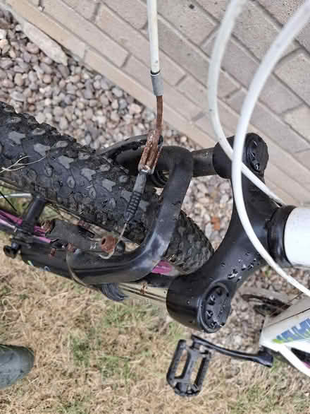 Photo of free kids mountain bike 24 inch (Bramcote Hills NG9) #4