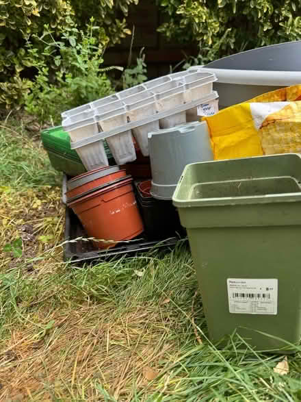 Photo of free Assorted plant pots (Hulme M15) #3