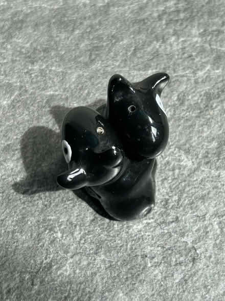 Photo of free salt and pepper shakers (Shenley Fields B29) #2