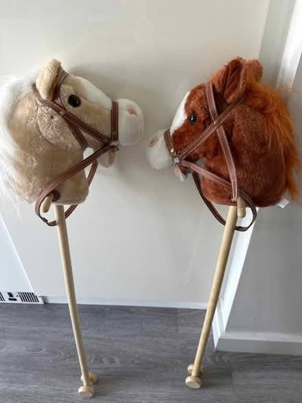 Photo of free Hobby horses (Yatton BS49) #1
