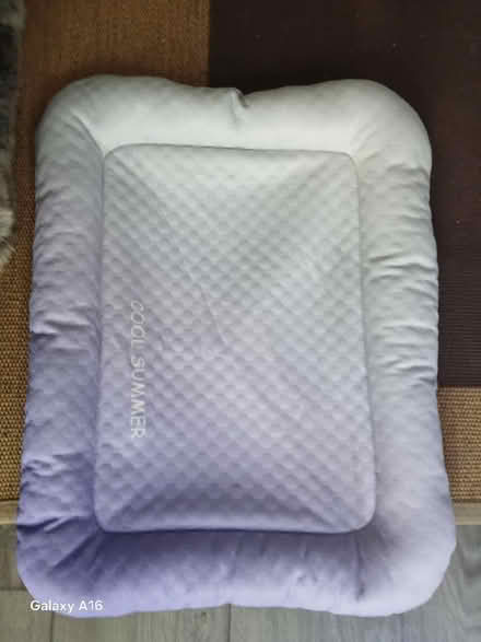 Photo of free Cat or small dog cooling bed (Seven dials) #1