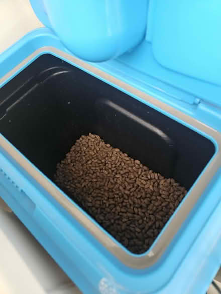 Photo of free Dry dog food - 13kg (Rowhedge CO5) #1