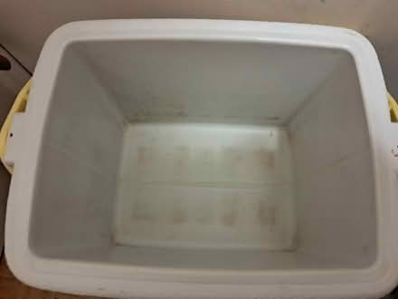 Photo of free lunch cooler (Bayshore) #4