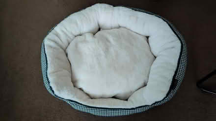 Photo of free Dog bed (Denholme BD13) #1