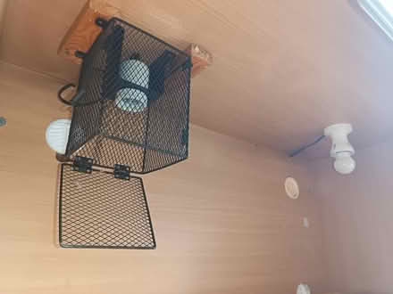 Photo of free 3ft vivarium (Bourne) #2
