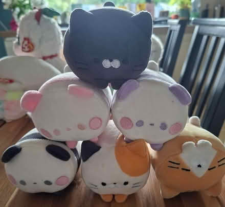 Photo of free Squishimis x 6 (Bray) #1