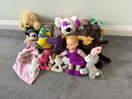 Photo of free Soft toys (Billericay CM11) #1