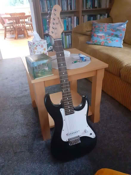 Photo of free electric guitar (Arddleen SY22) #1