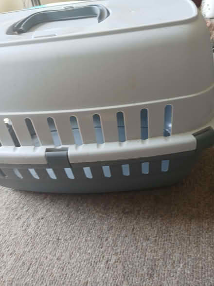 Photo of free Cat carrier (West Hill TN34) #3