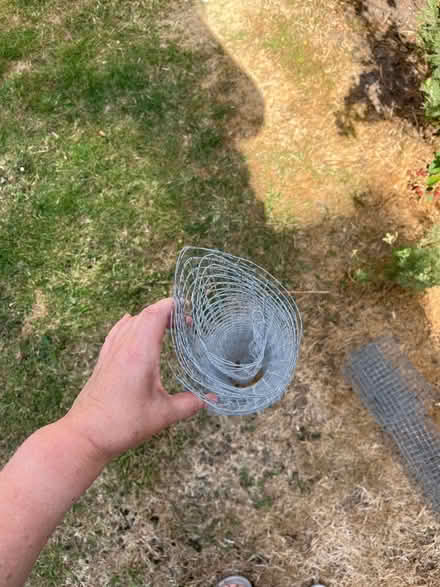 Photo of free Chicken wire (Sychdyn CH7) #2