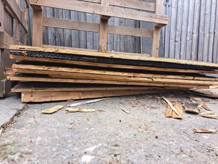 Photo of free Marine ply pieces or firewood (Heswall CH60) #4
