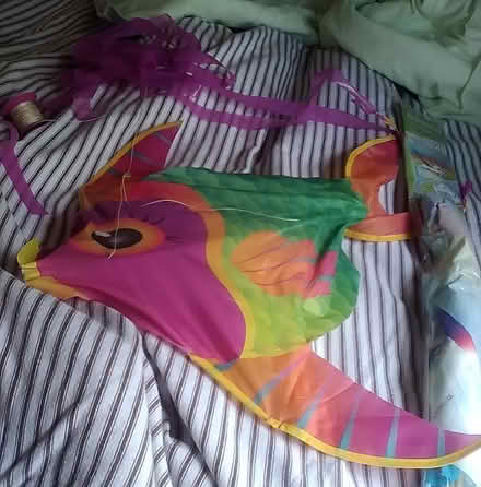 Photo of free Two Kites (Oakland) #1