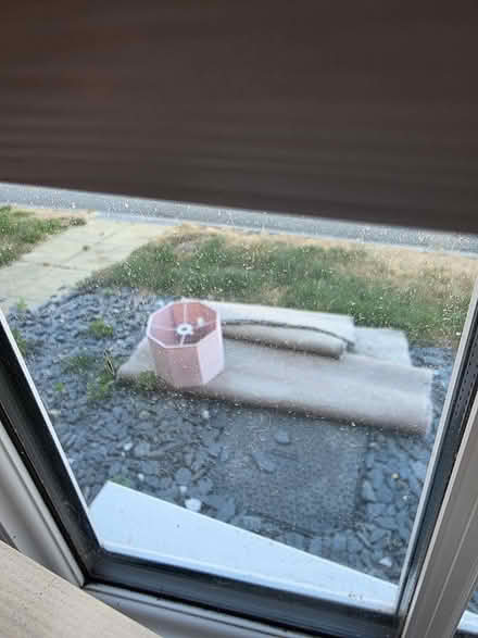 Photo of free Rugs lampshades (Faversham ME13) #1