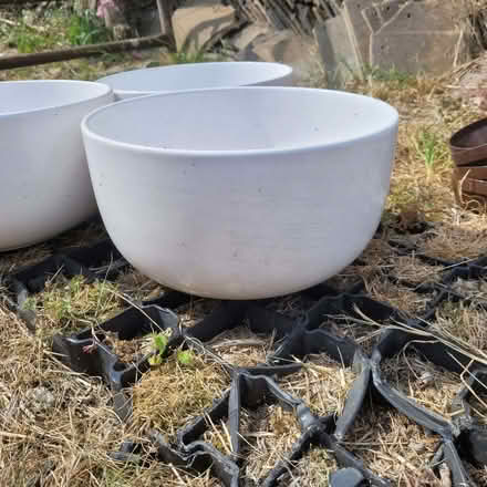 Photo of free 3 large catering bowls (Horsley GL6) #2