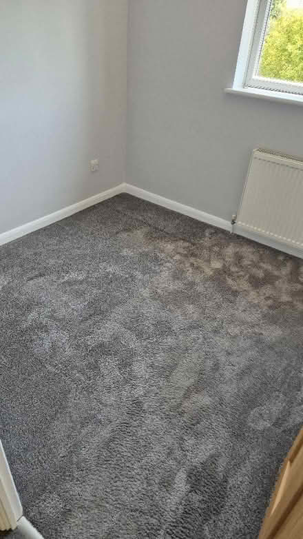 Photo of free Grey Carpet 230 x 235cm (Aston-on-Trent DE72) #1