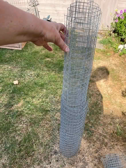 Photo of free Chicken wire (Sychdyn CH7) #3