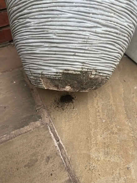 Photo of free Large garden planters (Great Eccleston PR3) #4