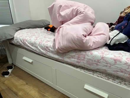 Photo of free single Day bed that turns into double bed (Ealing W13) #2