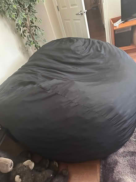 Photo of free Fuf (sic) memory foam beanbag (Mountain View near Central) #2