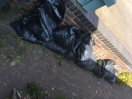 Photo of free 9x sacks of sand/ gravel (Ibstock LE67) #1