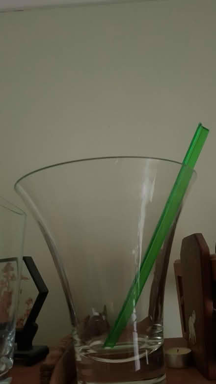 Photo of free Flower vase (Oldfield Park) #1