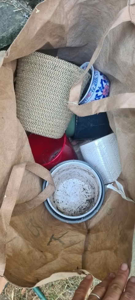 Photo of free 10 indoor small/medium plants pots (Rochester ME1) #1
