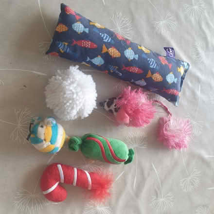 Photo of free Selection of Cat Toys (Prestwood HP16) #1