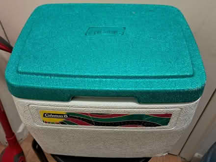 Photo of free lunch cooler (Bayshore) #2