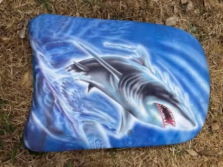 Photo of free Kids swimming float (Cam GL11) #1