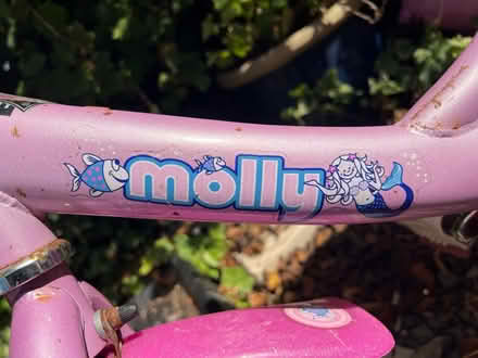 Photo of free Girls 12” Raleigh bike (Llanferres CH7) #4