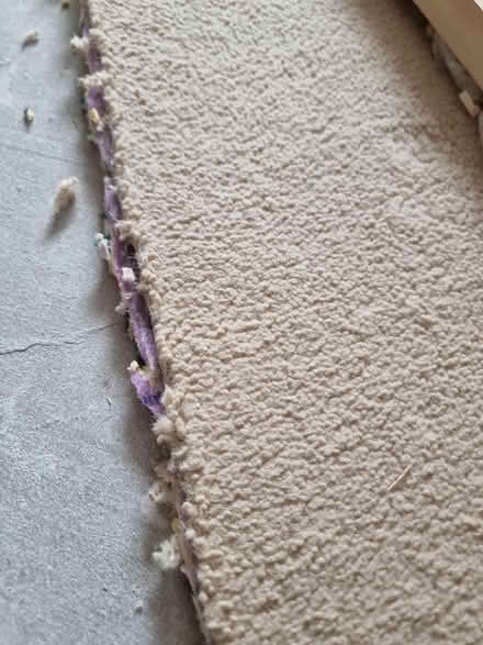 Photo of free Carpet and Inlay ~537x232cm (Grove OX12) #2