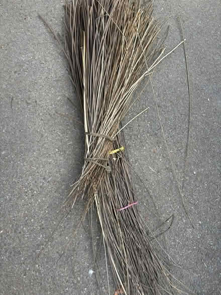 Photo of free Bunch of wicker (Wotton-under-edge GL12) #1