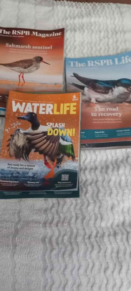 Photo of free RSPB, RSPA Life, WWT Magazines (Uffculme, nr Cullompton) #1