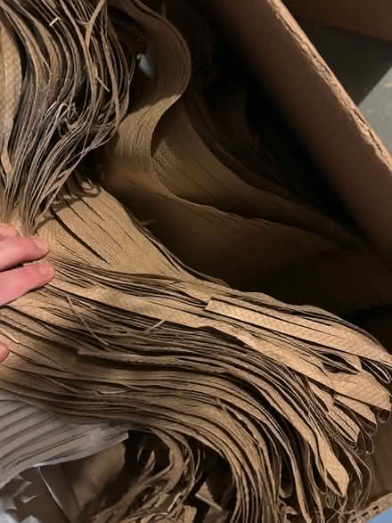 Photo of free Ornament Paper (Ottawa) #2