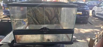 Photo of free Vivarium (Woking GU21) #1