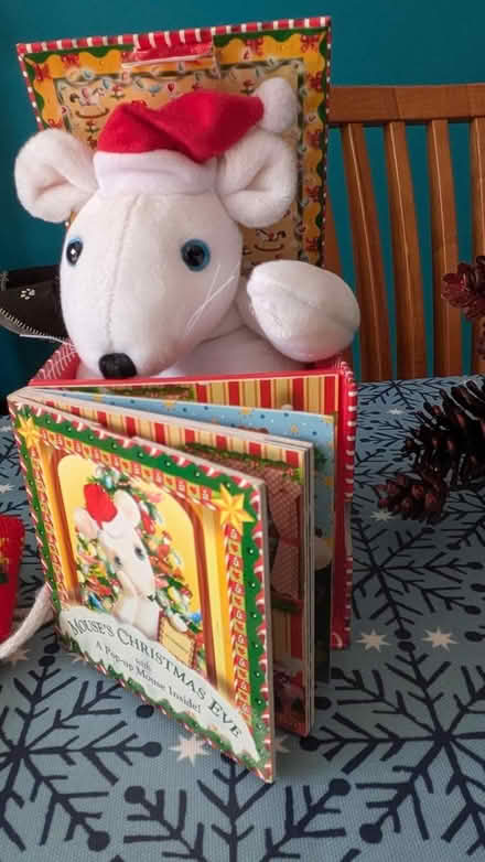 Photo of free Christmas decorations (Welwyn Garden City AL8) #4
