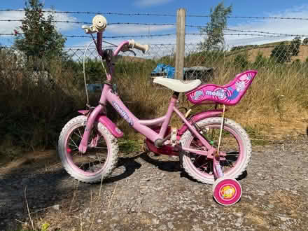 Photo of free Girls 12” Raleigh bike (Llanferres CH7) #2
