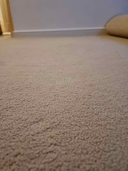 Photo of free Carpet and Inlay ~537x232cm (Grove OX12) #1