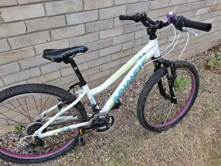 Photo of free kids mountain bike 24 inch (Bramcote Hills NG9) #1