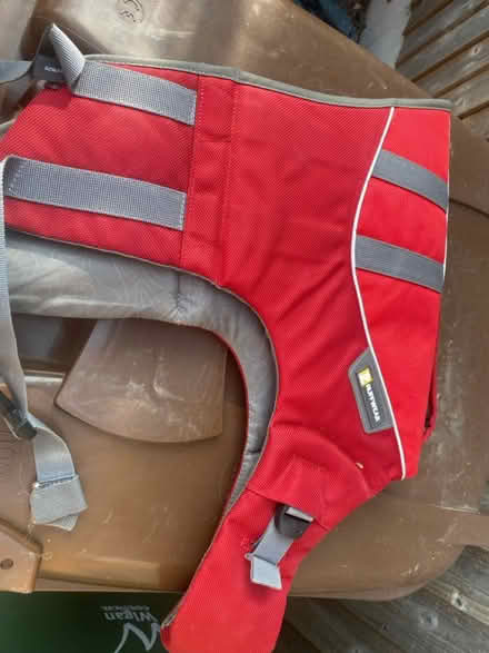 Photo of free Dog jacket (Golborne WA3) #1