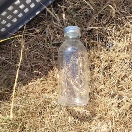 Photo of free 300 ml bottles with screw tops (Horsley GL6) #1