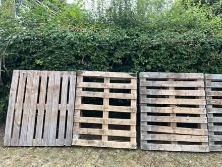 Photo of free Pallets (St Julians AL1) #1
