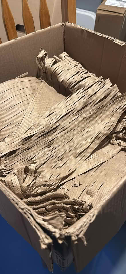 Photo of free Ornament Paper (Ottawa) #3